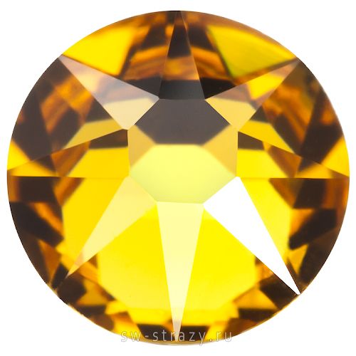 2088 ss 34 Sunflower F